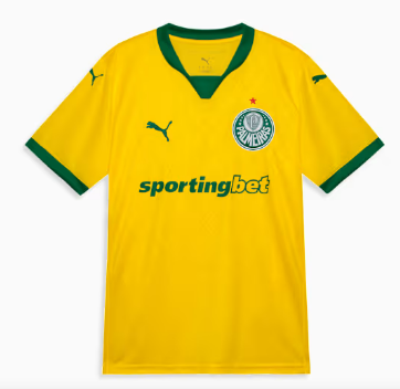 Camisa Do Palmeiras (Seleção)